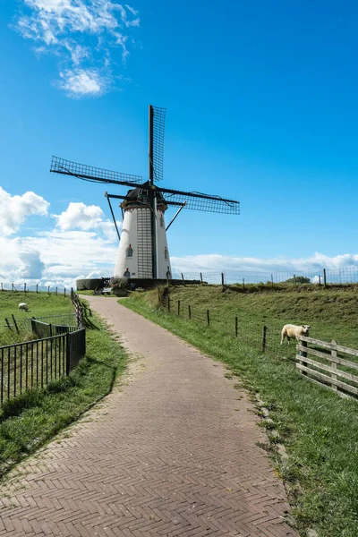 Windmolen Buiten Verwachting Nieuw Sint Joosland Zeeland September 2022 — Stockfoto
