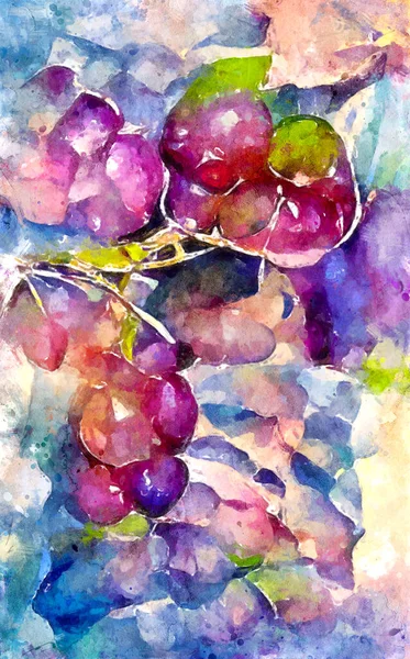 Malowanie Akwarelą Świeżych Winogron Fioletowym Błękicie Prace Artystyczne — Zdjęcie stockowe