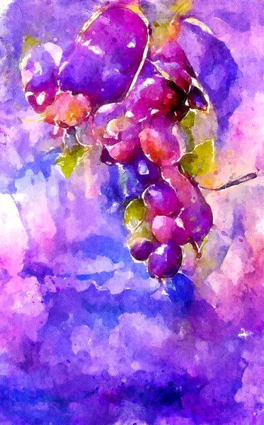 Malowanie Akwarelą Świeżych Winogron Fioletowym Błękicie Prace Artystyczne — Zdjęcie stockowe
