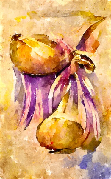 Watercolour Painted Vegetables Garlic — Stock Photo, Image