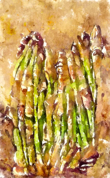 Painted Watercolour Picture Green Asparagus Asparagus Season — Zdjęcie stockowe