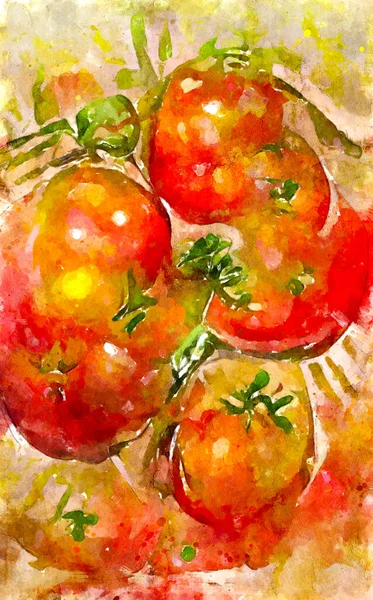 Watercolour Painted Vegetables Tomatoes — Foto de Stock