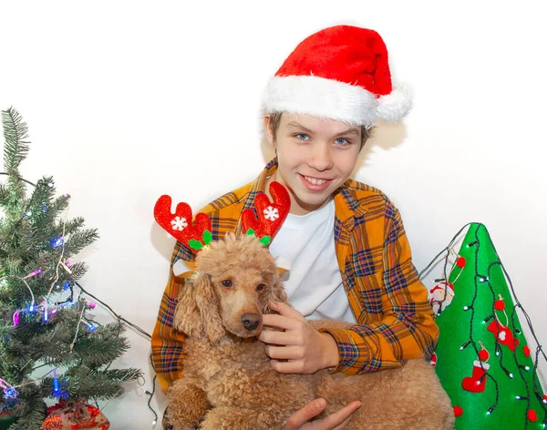 Komik gülümseyen neşeli çocuk çocuk Noel hediyesi elinde tutan Santa kırmızı şapka ve Gizle arkasında kırmızı bir arka plan üzerinde hediye