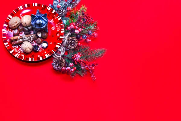 붉은 배경에 가시돋친 잔가지가 있다. 새로운 시대의 깃발. 크리스마스 배경. — 스톡 사진