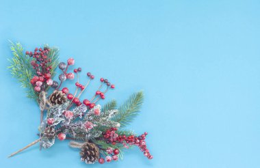 Mavi arka planda ladin dalı. Noel arkaplanı.