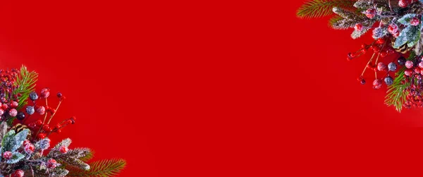Kırmızı arka planda ladin dalları. Yeni yıl afişi. Noel arkaplanı.