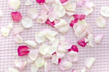 Pembe arka planda pembe kalpler. Tekstil arka planı pembe..