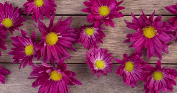 Flores Púrpuras Sobre Mesa Madera Formato Panorámico — Vídeo de stock