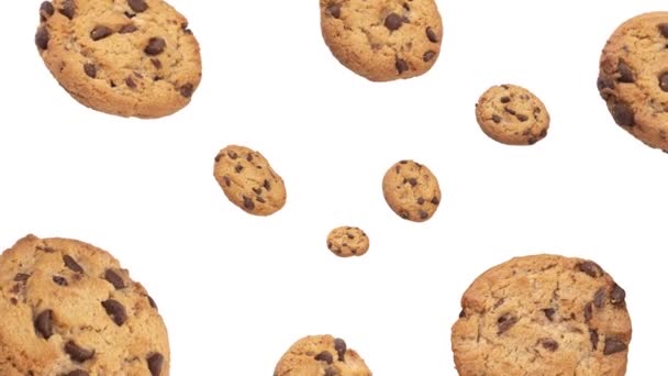 Cookies Rotatifs Aux Pépites Chocolat Tombant Sur Fond Blanc — Video