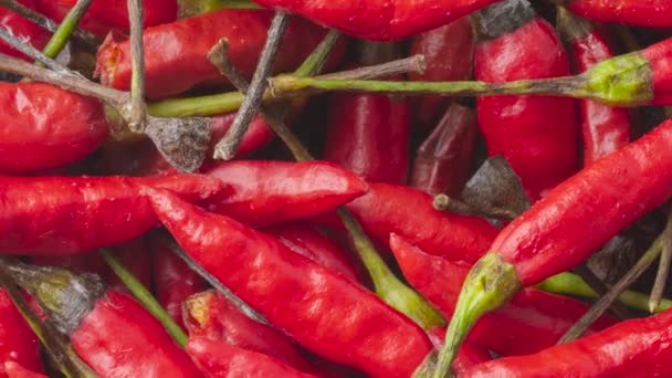 Pandangan Atas Tertutup Dari Sekelompok Paprika Merah — Stok Video