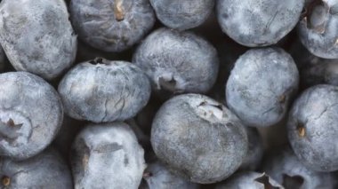 Yaban mersinlerinin en üst görüntüsü.