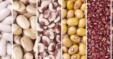 Çeşitli fasulye kolajı. Beyaz, sarı, azuki, kahverengi, rajado ve panoramik formatta pişmemiş fasulye..