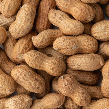 Yakın plan, kabuklu fıstık manzaralı. Yemek arkaplanı.