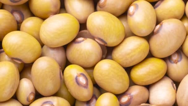 Closeup Top View Yellow Beans Food Backdrop — Stock Video