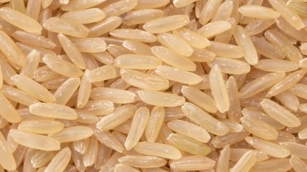 Closeup Top View Raw Brown Whole Rice Food Backdrop – Stock-video