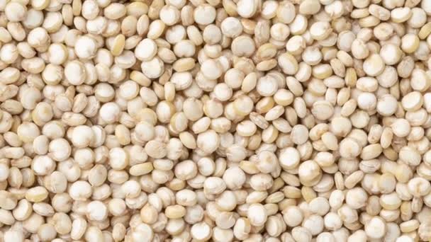 Draufsicht Nahaufnahme Roher Quinoa Körner Nahrungsmittelkulisse — Stockvideo