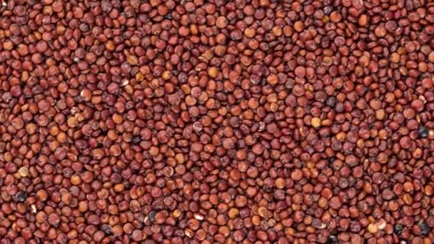 Ovanifrån Närbild Råa Röda Quinoakorn Livsmedelsbakgrund — Stockvideo