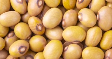 Yakından, sarı fasulyelerin üst görüntüsü. Yemek arkaplanı.