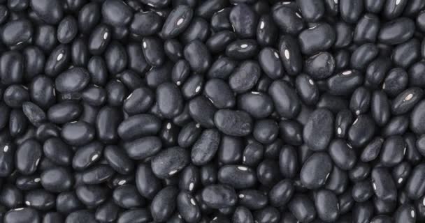 Вид Сверху Черную Фасоль Продовольственный Фон — стоковое видео