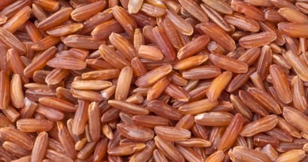 Closeup Top View Whole Grain Red Rice Food Backdrop — Stock Video