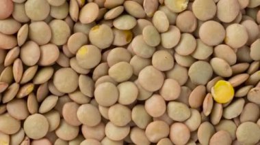 Mercimeğin en üst yakın görüntüsü.