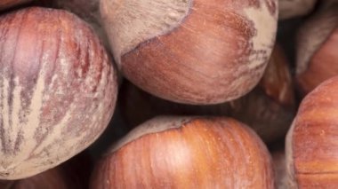 Üst manzara, fındık yakın çekim. Fındık arkaplanı.