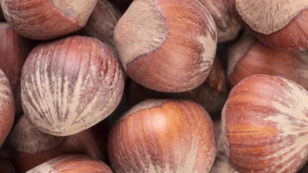 Top View Closeup Hazelnuts Nuts Backdrop — Stock Video