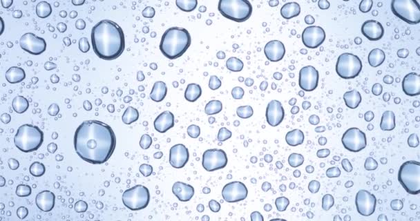 浅蓝色表面上的水滴 — 图库视频影像