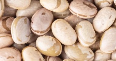 Üst manzara, fasulyeye yakın çekim.