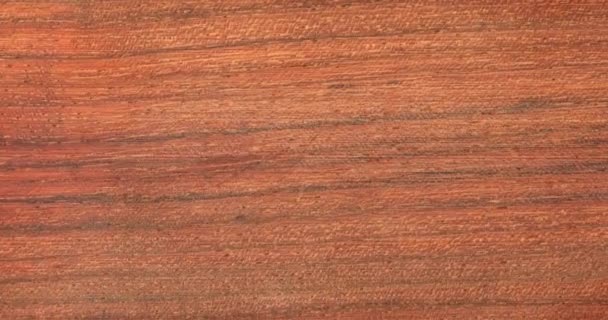 Gammelt Brunt Træbræt Rustik Træ Baggrund – Stock-video