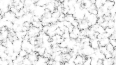 Black and white marble stone backdrop.