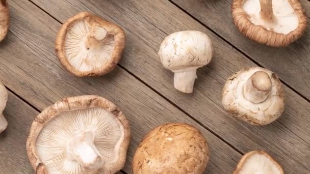 Shitake Portobello Paris Mushrooms Wooden Table — 비디오