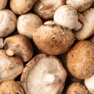 Shitake, portobello ve Paris mantarları ahşap masanın üzerinde..