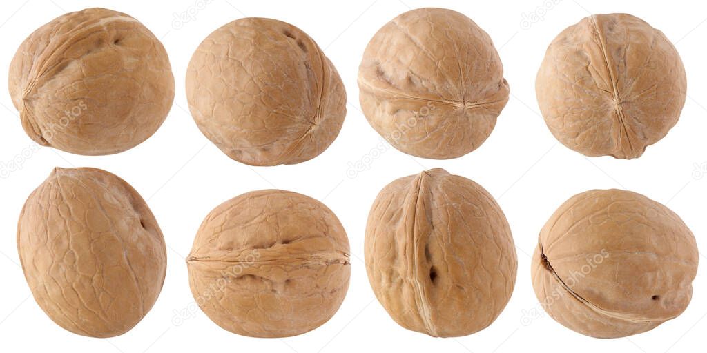 walnuts isolated on a white background with a clipping path, a collection of whole nuts