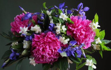 Çiçek arkaplan şakayığı süsen çiçekleri ve yasemin doğal arkaplan.