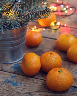 Mandalinalar, köknar dalları ve bokeh, noel ile yeni yıl kompozisyonu