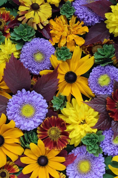 Fondo Floral Con Suculentas Flores Amarillas Moradas Hojas Moradas Vista — Foto de Stock
