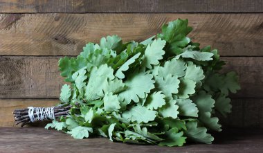 Ahşap zemin üzerinde meşe dallarından yapılmış bir süpürge, banyo ya da sauna için bir süpürge.