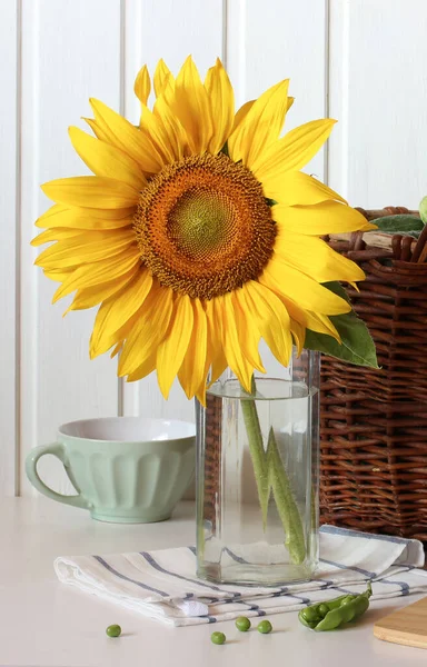 Одна Квітка Соняшнику Скляному Глечику Стручок Гороху Столі — стокове фото