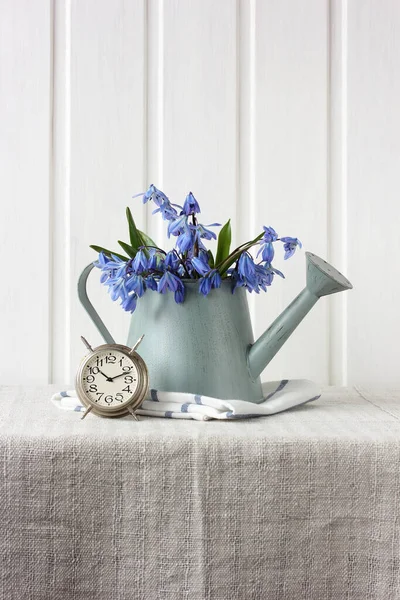 Plechovka na zalévání s jarními modrými květy — Stock fotografie
