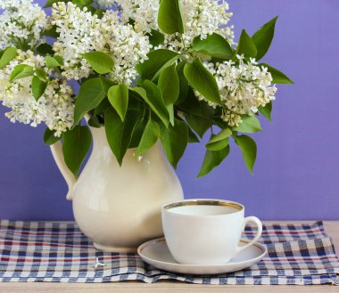 spring bright still life with white lilac in a white jug.