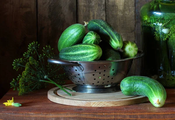 Fresh green cucumbers in a colander on the table — ストック写真