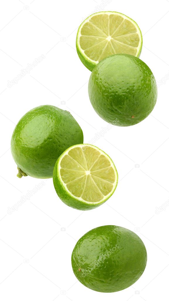 falling limes isolated on a white background with a clipping path. citrus fruits flying in the air. fruit levitation.