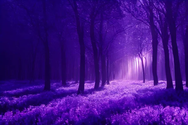 A magical enchanted purple forest.