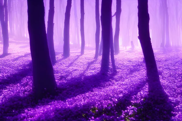 A magical enchanted purple forest.