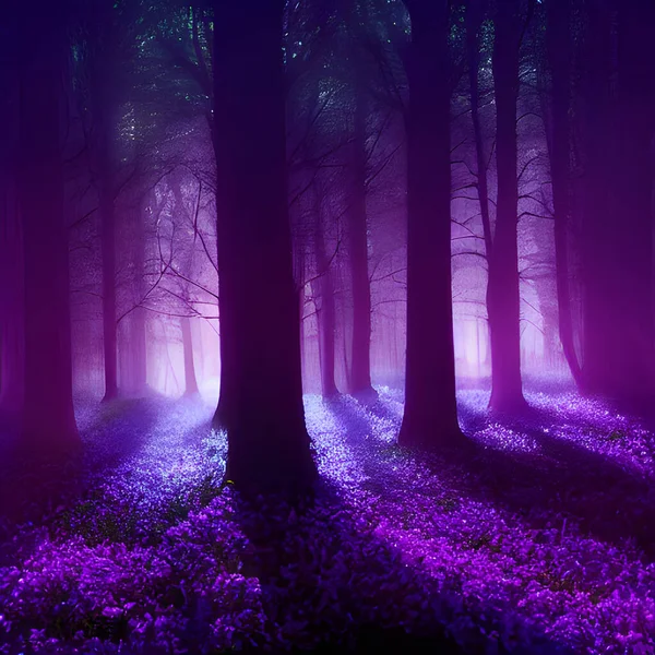 A magical enchanted purple forest.