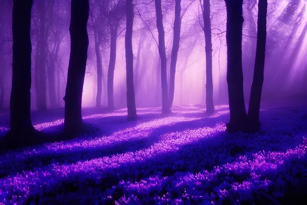 A magical enchanted purple forest.