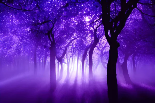 A magical enchanted purple forest.