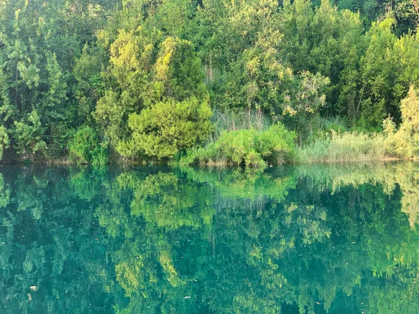 Естественное Зеркало Лесу — стоковое фото