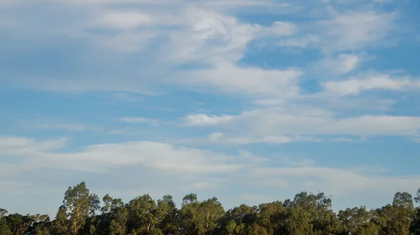 Mavi Gökyüzü Birkaç Beyaz Bulut Yeşil Ağaçlardan Oluşan Bir Çizgi — Stok fotoğraf